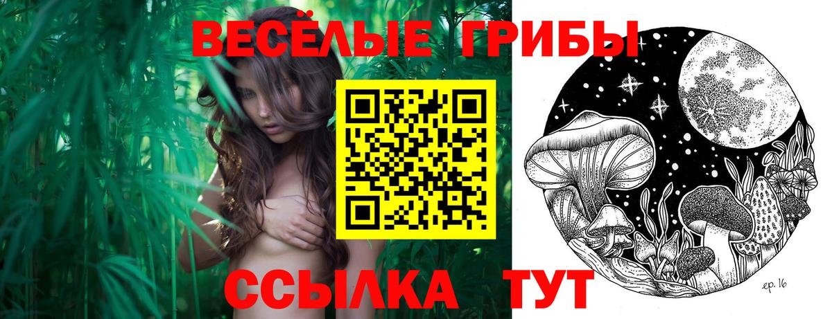 Меф Мариинск