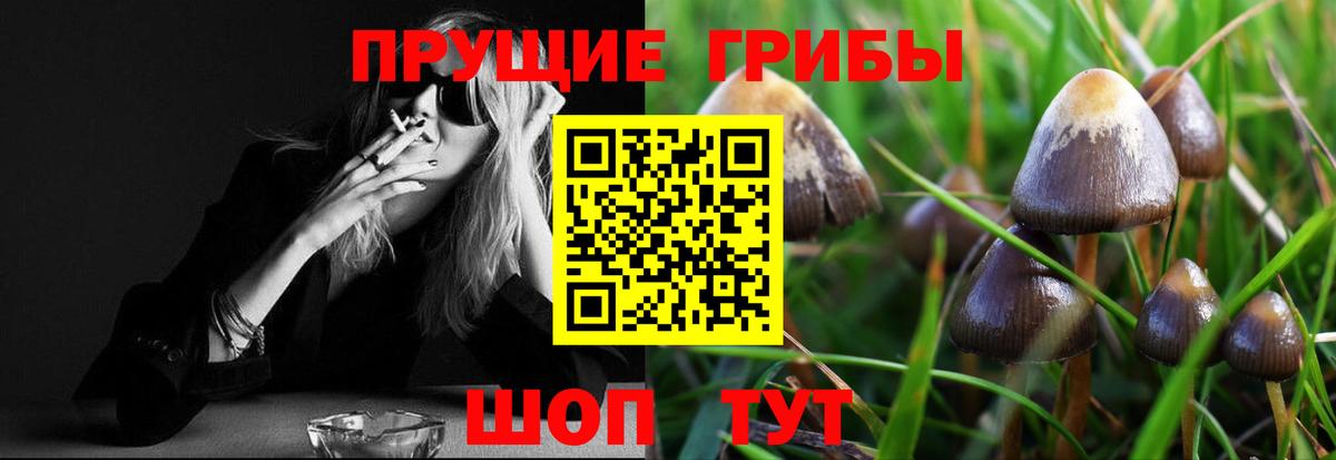 Мариинск  цена наркотик  Вход с VPN  Псилоцибиновые грибы Magic Shrooms 